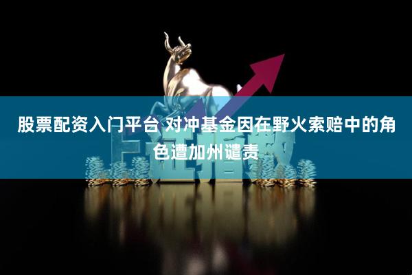 股票配资入门平台 对冲基金因在野火索赔中的角色遭加州谴责