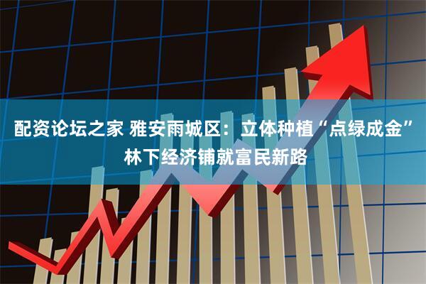 配资论坛之家 雅安雨城区：立体种植“点绿成金” 林下经济铺就富民新路